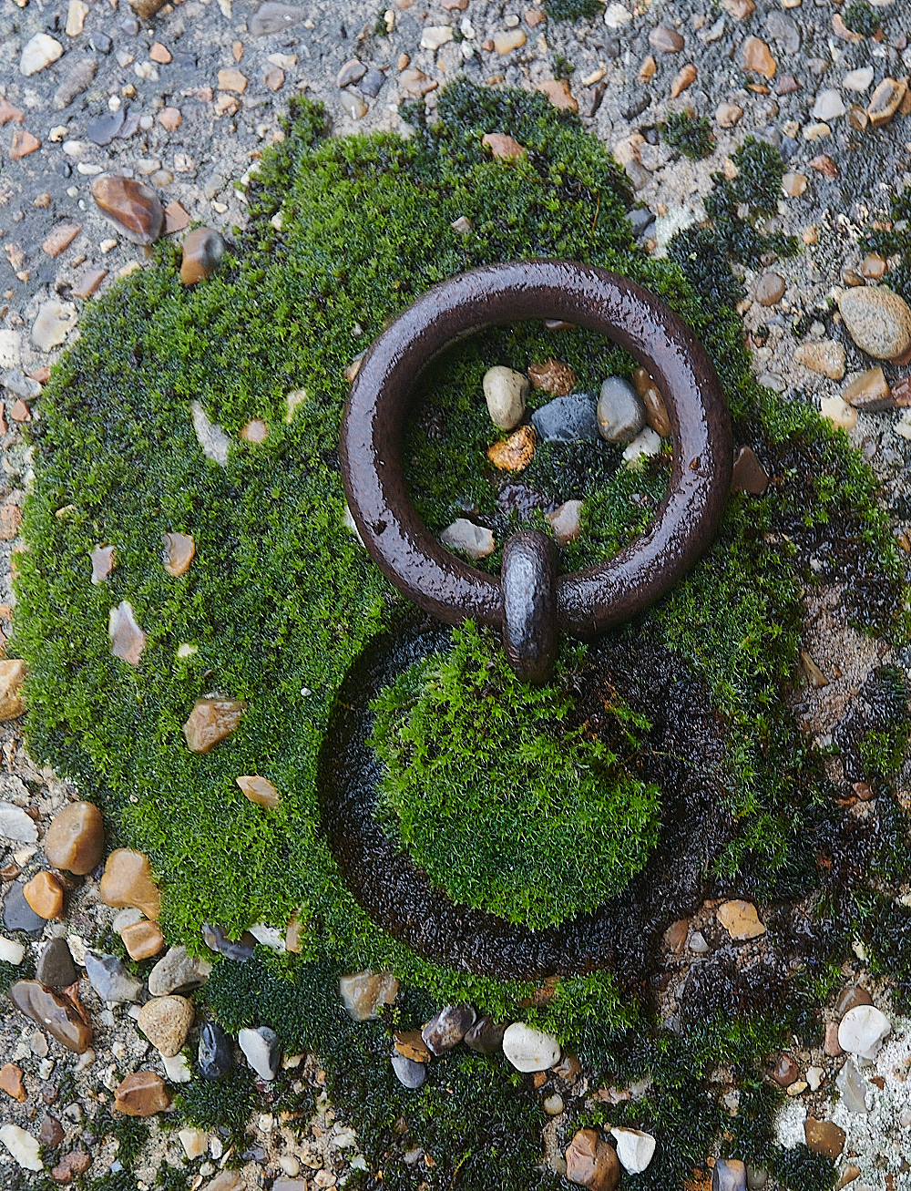 RaveninghamHallRing271122-1