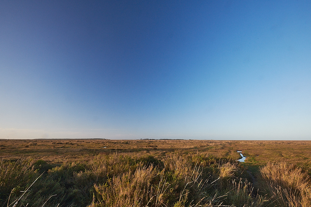 WarhamGreens201222-1